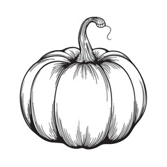 Black and white line drawing of a round pumpkin with a curved stem