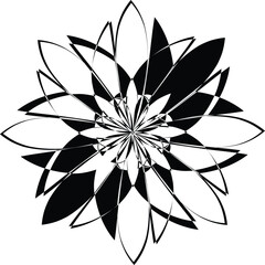 black and white abstract flower