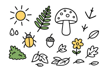 Morning Forest Doodles. Morning Scene. Hand-drawn doodle illustration sunbeam (colored), dew drops, fern (colored), mushroom, beetle (colored), bird footprint,