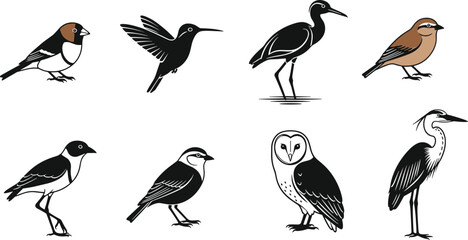 Stylized bird species illustration set featuring minimalistic vector graphics with varied poses, colors, and simplified shapes for identification and design