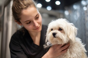 Woman is petting a white dog. The woman is wearing a black shirt and a black apron