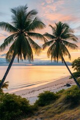 Tropical Sunset Beach Palm Trees Golden Hour Ocean View