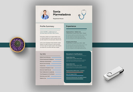 Modern Nursing Resume Format for Job Application