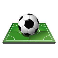 soccer ball on green field