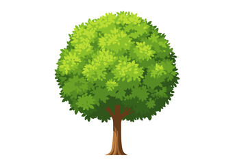 blooming tree, flowering tree, landscape tree, garden tree, tree side view, botanical tree, environment tree, tree illustration, decorative tree, spring tree, architectural tree, garden design tree, t