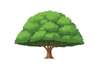 blooming tree, flowering tree, landscape tree, garden tree, tree side view, botanical tree, environment tree, tree illustration, decorative tree, spring tree, architectural tree, garden design tree, t