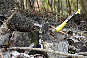 an axe in a stump. A close-up view of a rugged axe embedded in a wooden log, evoking notions of forestry, craftsmanship, and outdoor activities in nature. preparing firewood for the winter