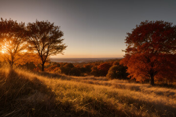 Fototapeta premium beautiful landscape of autumn forest at sunset, yellow trees and sunlight