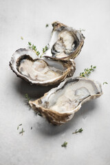 Oysters top view. Open fresh oysters on a gray table. Healthy sea food. French Oyster dinner in restaurant. Grey background. Seafood, Gourmet food. Flat lay. Vertical image. 