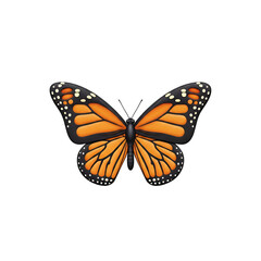 Monarch butterfly with orange and black wings isolated on transparent background
