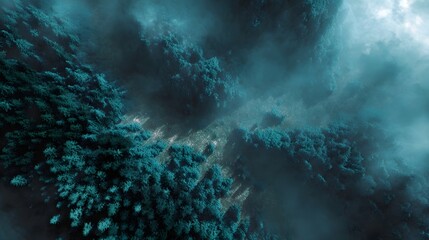 Fototapeta premium Atmospheric aerial view of a dense forest shrouded in teal fog and mist with light rays piercing the canopy