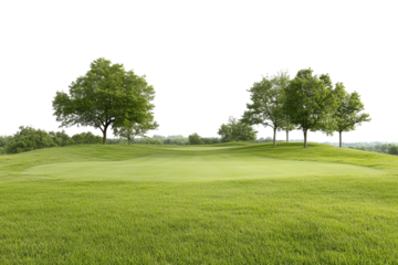 A serene golf course landscape featuring lush green grass and mature trees under a clear sky, perfect for promoting outdoor leisure activities.