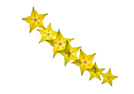 A diagonal line of bright yellow starfruit, also known as carambola, isolated on a plain transparent background