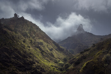Hidden Beauty of Afur Ravine in Anaga Mountains on a Misty Day in Tenerife