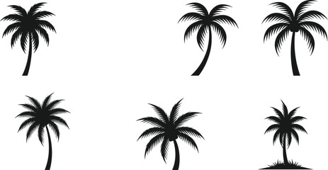 Silhouette palm tree, tropical beach vector, black illustration, exotic island, summer vacation, paradise art, coastal design, travel, botanical nature, holiday