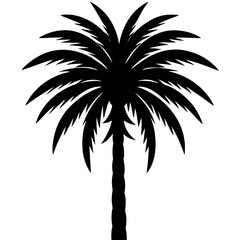 Obraz premium Eucalyptus Silhouette Vector On White Background 