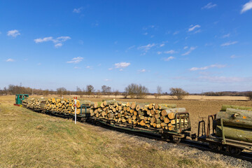 Train transporting logs through rural countryside under blue sky