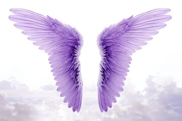 Fototapeta premium Isolated purple angel wings against a white backdrop