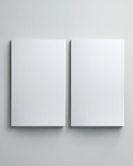 Two White Blank Flyers Mockup