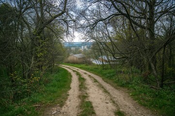 Fototapeta premium Trail Path for Hiking Adventure