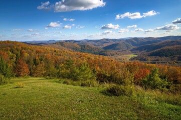 Fototapeta premium View of Burns Run Wild Area from a high vantage point in a dense forest