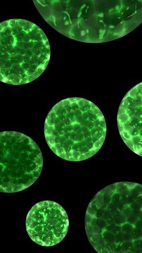 Virus Animation