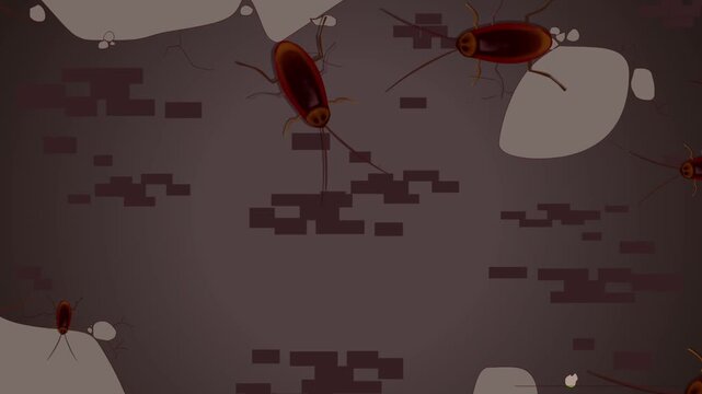 Animated video of cockroaches walking on a wall, 2D, art.