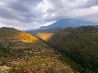 Agriculture Albania Hills Grapes