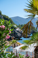 Albania Beachclub Flowers