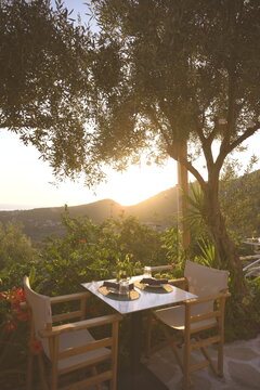 Restaurant Golden Hour Trees