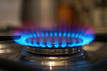 Close-up of blue gas flames on a cooking stove burner