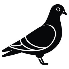 carrier pigeon vector icon