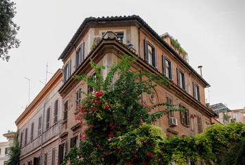 Historic building with green plants and blooming flowers on facade in Rome