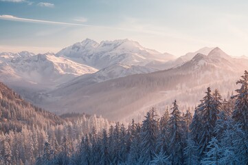 Winter landscape with snowy mountains and white forest