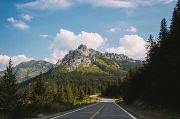 Naklejka premium Winding path through highlands
