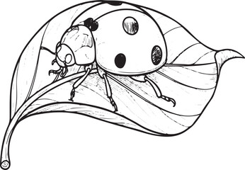 Detailed Black and White Drawing of a Ladybug on a Leaf insect beetle