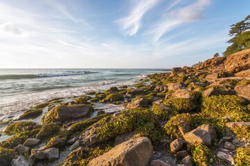 Massive stones and marine plants decorate the shoreline scenery.