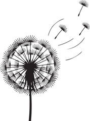 Dandelion Seed Head with Flying Seeds Line Art Illustration vector