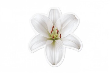 Fototapeta premium Intricately designed white lily artwork highlighting its graceful petals and fine stamens, perfect for botanical art and floral stickers.