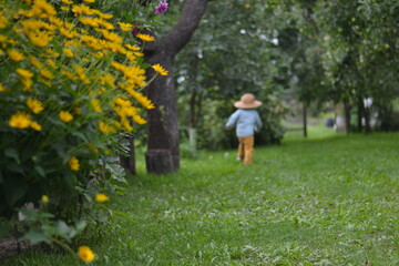 Naklejka premium a little boy in a straw hat in an apple orchard