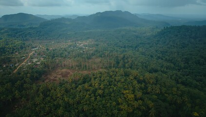 Fototapeta premium Aerial drone shot showing environmental issues caused by deforestation in a tropical rainforest