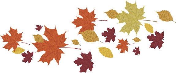 Colorful autumn maple leaves. Falling leaves. Season plant design element.
