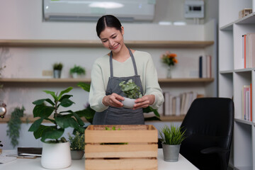 Indoor Gardening. Woman arranging potted plants in a wooden crate.