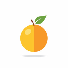 Stylized Orange Fruit Illustration Minimal Design Green Leaf