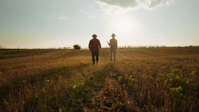 Fascinating landscape and walking farmers in fields, rear view, slow motion . Two agronomists planning sowing and future harvest, agribusiness and agronomy technology, simple rural life in country