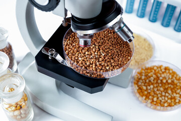 Tests for pesticides in buckwheat at laboratory close up