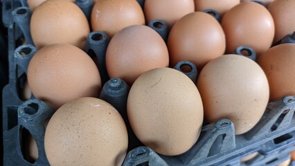 fresh eggs in a tray