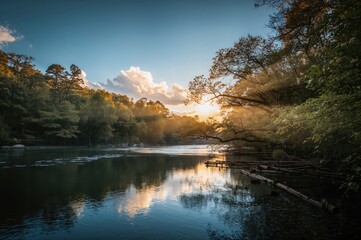 Fototapeta premium Summer Dawn by a Woodland Stream