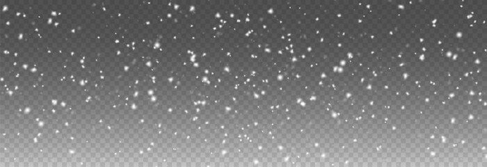 Snowfall PNG. Heavy snowfall or snowstorm with snowflakes of various shapes. Winter snowy background.