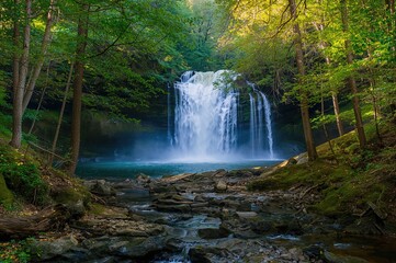 Obraz premium Scenic waterfall surrounded by lush greenery in a natural park